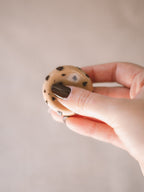 Worry Stone - Bolacha